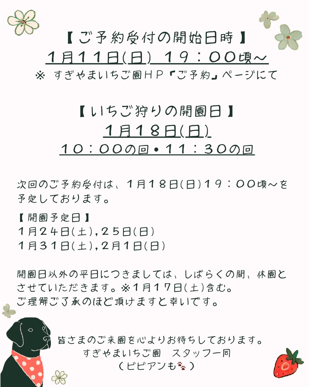 いちご様連絡ページ 1月18日(日)のご予約について | すぎやまいちご園